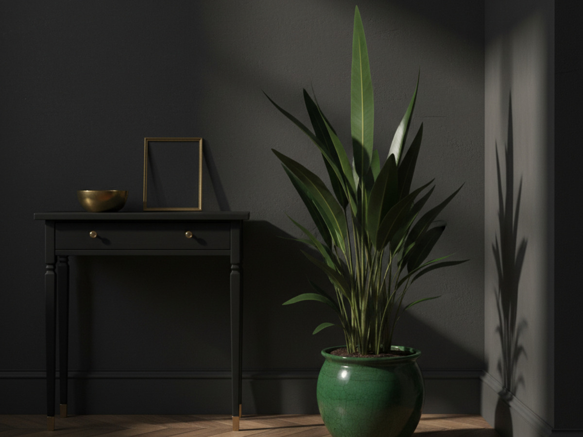 Cast iron plant with upright glossy leaves beside a console table in a moody hallway