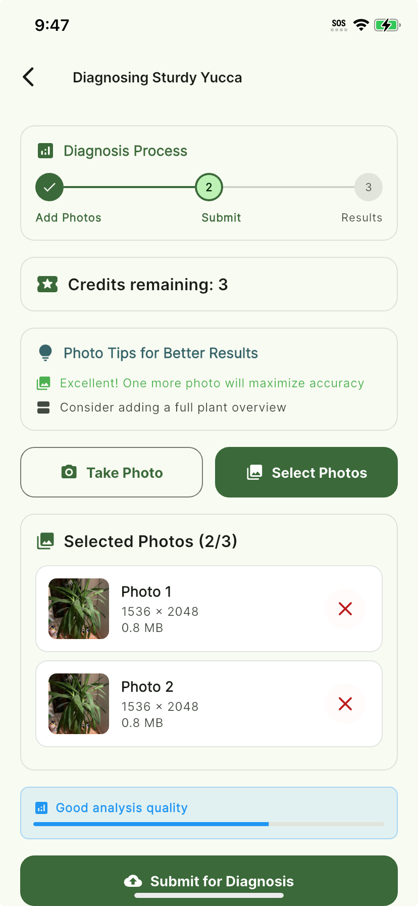 AI Plant Doctor photo capture interface showing camera with plant photo guidelines