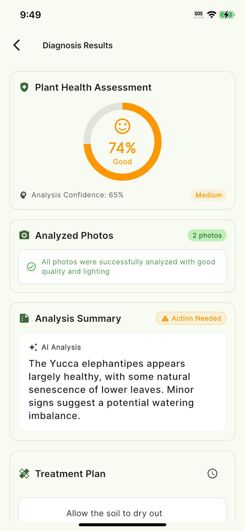 AI Plant Doctor diagnosis results showing species identification, health scores, and detected conditions