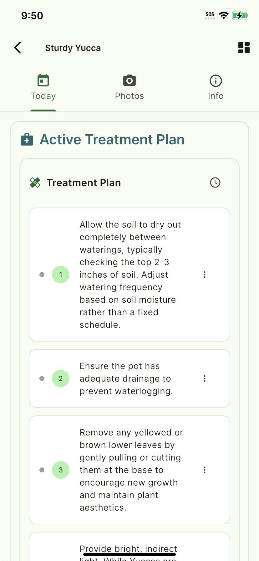 AI Plant Doctor treatment plan showing step-by-step instructions and care reminders